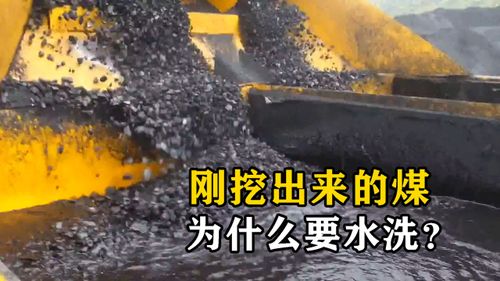 為什么要清洗剛挖出來的煤？不洗的后果與重要性