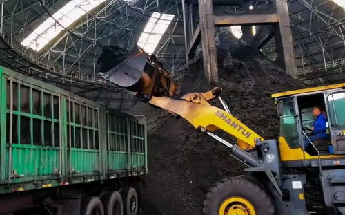 全力以赴 保障煤炭和電力供應(yīng) 筑牢能源安全的“壓艙石”